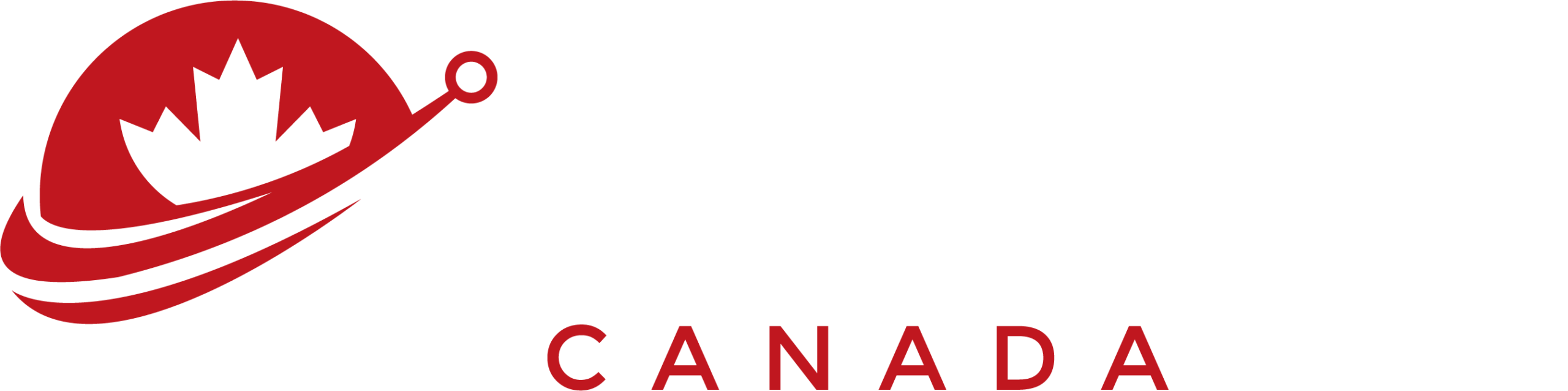 Q CONSULTING LOGO